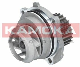 T0028 Kamoka Помпа