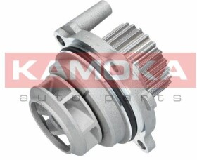 T0029 Kamoka Помпа