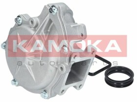Помпа Kamoka T0049