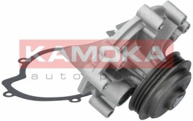 Помпа Kamoka T0100