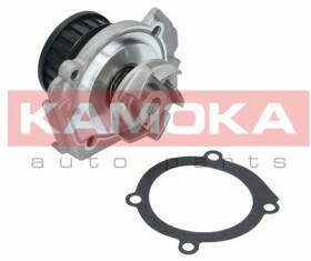 Помпа Kamoka T0117