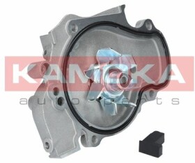 Помпа Kamoka T0144