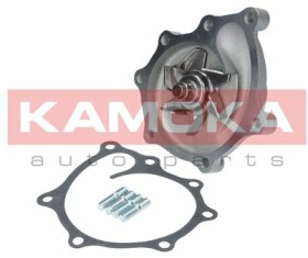 Помпа Kamoka T0169