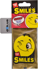 Ароматизатор Fresh Way Smiles Dry Cherry 9 г
