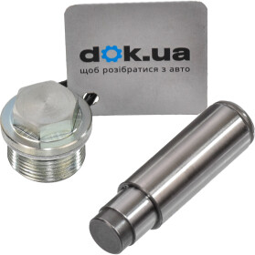 Натяжитель цепи ГРМ INA 551002110