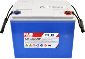 Аккумулятор для ИБП Fiamm 817178 80 Ач 12 V