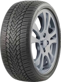 Шина Roadmarch WinterXPro 888 225/50 R17 98H XL