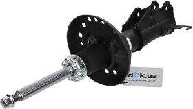 Головне фото