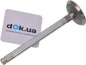 Выпускной клапан Intervalves 2386036