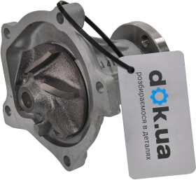 Головне фото