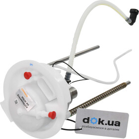 Головне фото