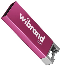 Флешка Wibrand Chameleon 4 ГБ WI20CH4U6P