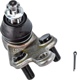 Головне фото