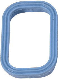 Прокладка впускного коллектора Reinz 703553900