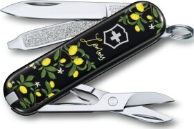 Швейцарський ніж Victorinox Classic LE 0.6223.L1905