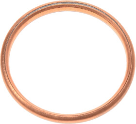 Прокладка впускного коллектора Reinz 41-72077-30