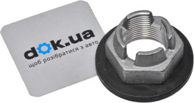 Головне фото