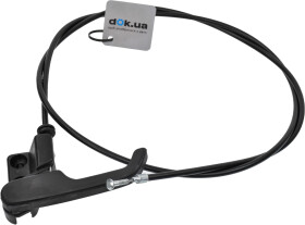 Головне фото