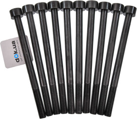 Болт ГБЦ Reinz 14-10173-01