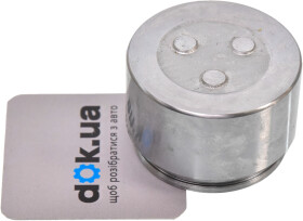 Поршень тормозного суппорта Autofren Seinsa D025123