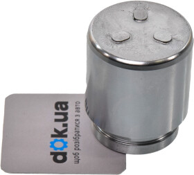 Поршень тормозного суппорта Autofren Seinsa D025253