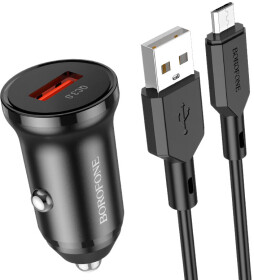 USB зарядка в авто Borofone BZ18MB