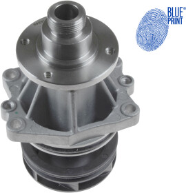 Головне фото