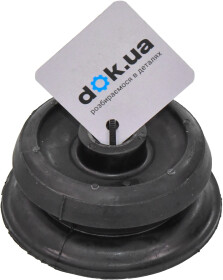 Головне фото