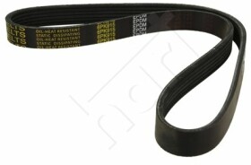 Поликлиновой ремень Hart 334309