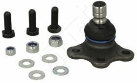 Головне фото