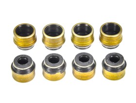 Комплект сальників клапанів Reinz 12-31306-07