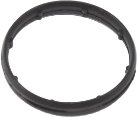 Прокладка впускного коллектора Goetze 50-029884-00