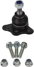 Головне фото