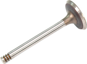 Впускной клапан BGA V033022