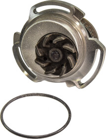 Головне фото