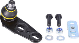 Головне фото