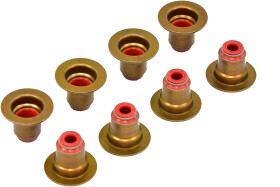 Комплект сальників клапанів Reinz 12-35548-01