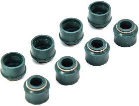 Комплект сальников клапанов Reinz 12-26267-01