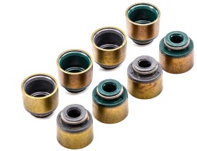 Комплект сальників клапанів Reinz 12-54071-01