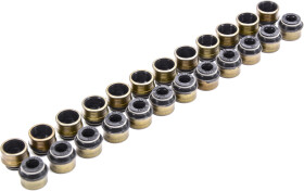 Комплект сальників клапанів Reinz 12-31306-05
