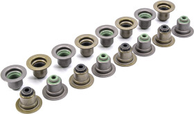 Комплект сальников клапанов Payen HR5063