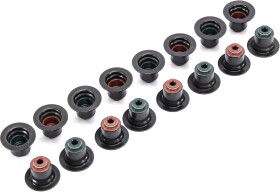 Комплект сальників клапанів Reinz 12-35546-01