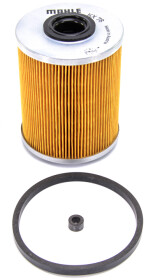 Головне фото