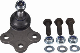 Головне фото