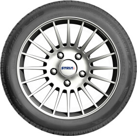 Шина Petlas Elegant PT311 185/65 R14 86T