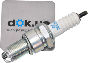 Головне фото