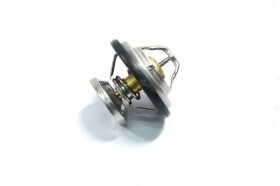 Термостат Rider RD1517569985