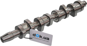 Распредвал Borsehung B17861