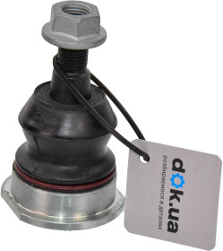 Головне фото