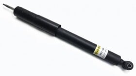 rs317256 RAISO Амортизатор